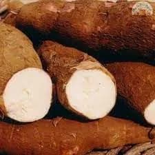 Kerala Natural Organic Tapioca, Nadan Kappa ( 500 gm , 1 kg ) | Nadan Tapioca | കപ്പ കിഴങ്ങ് | മരച്ചീനി | കൊള്ളി | പൂള | Nadan Kolli | Maracheeni