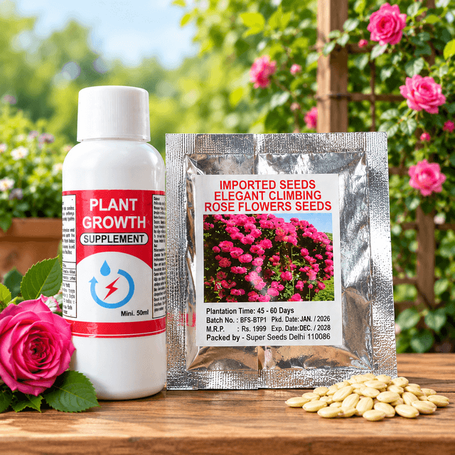 Elegant Climbing Rose Flower Seeds