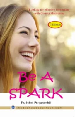 Be a Spark, Reflections