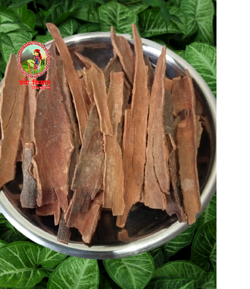 Fresh Cinnamon (കറുവപ്പട്ട) | Dalchini Stick | Sweet Aroma | 100% Natural