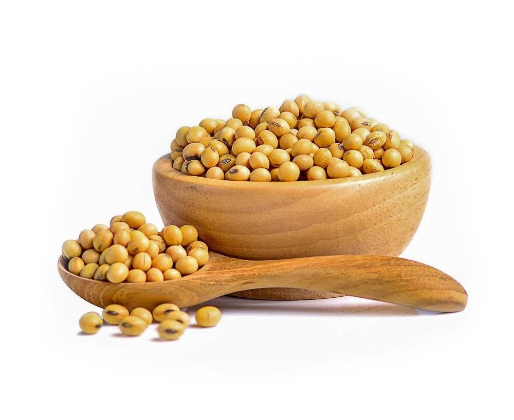 Cappacale Soya bean | Soya bean Dana | High Protein And Natural - 500g