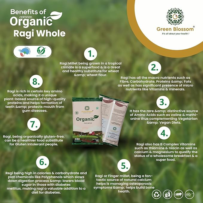 Green Blossom Natural & Organic Finger Millet Whole (Ragi Whole) - 1 KG | Kelvaragu | Nachni | Ragulu | Aariyam| Maduva | Panji Pullu | Sabut Nachni Ragulu Kezhvaragu Mandua