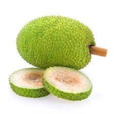 Kerala Special Fresh Natural Organic Kadachakka (കടച്ചക്ക) | Raw Breadfruit (Delivery 24 hours in Hyderabad)