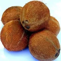 Kerala Natural Organic Fresh Raw Coconut (തേങ്ങ) - 1Kg, 2Kg, 5Kg | Nariyal | Thenga For Cooking And For Pooja (Brown, Small) (Delivery 24 hours in Hyderabad)