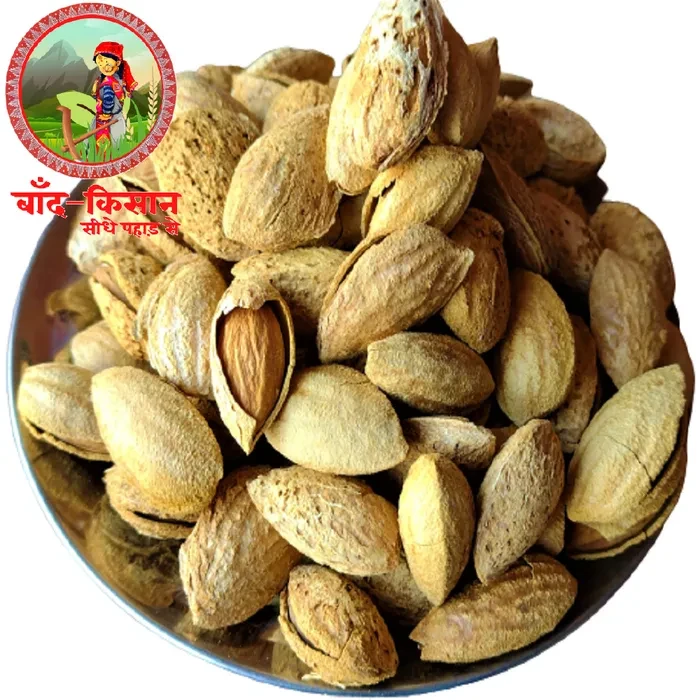 Natural And Crunchy Premium Whole Almond  (ബദാം) | Quality Badam Giri | Nutritious & Delicious High in Fiber
