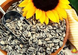 NATURAL FOODS Natural Foods rich in Protien Healthy DIET Snack SUN FLOWER SEED 250G