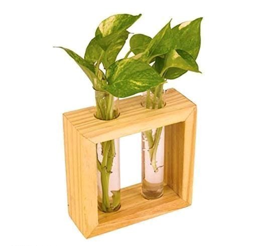 Classy Hanging Planters One Glass Test Tube With Wooden Stand Indoor Decorative Showpiece | Table Decor Plant Container Set  (Wood, Glass)