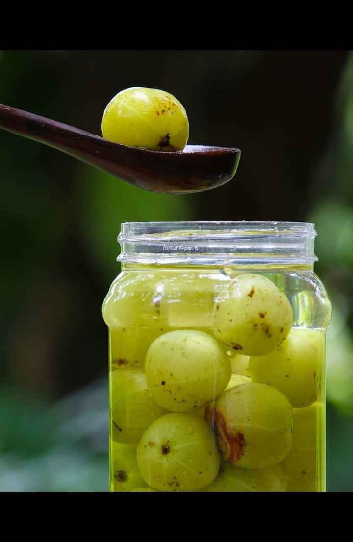 Kerala Special Homemade Gooseberry In Brine (നെല്ലിക്ക ഉപ്പിലിട്ടത്) - 500g | Salted Amla  Amla | Uppilittathu | Uppu Nellikka | (Delivery 24 hours in Hyderabad)