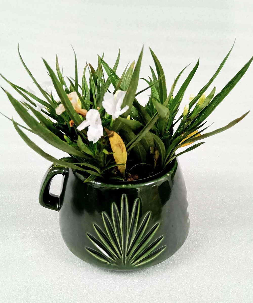 Ceramic Indoor Green Cup Planter - Leaf  Handmade Pot Planter For Home