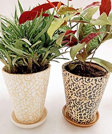 Handmade Ceramic Indoor Planters For Garden Set of 4  Indoor Ceramic Planter