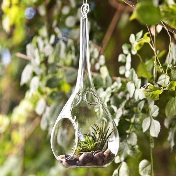 Hanging Glass Flower Pot